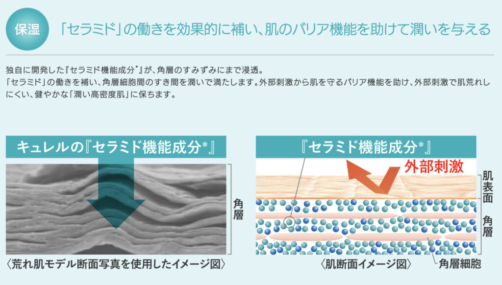 キュレルのセラミド機能成分